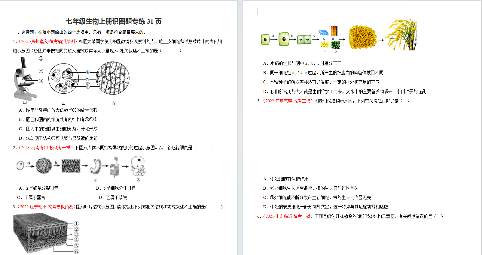 1704792305245.png