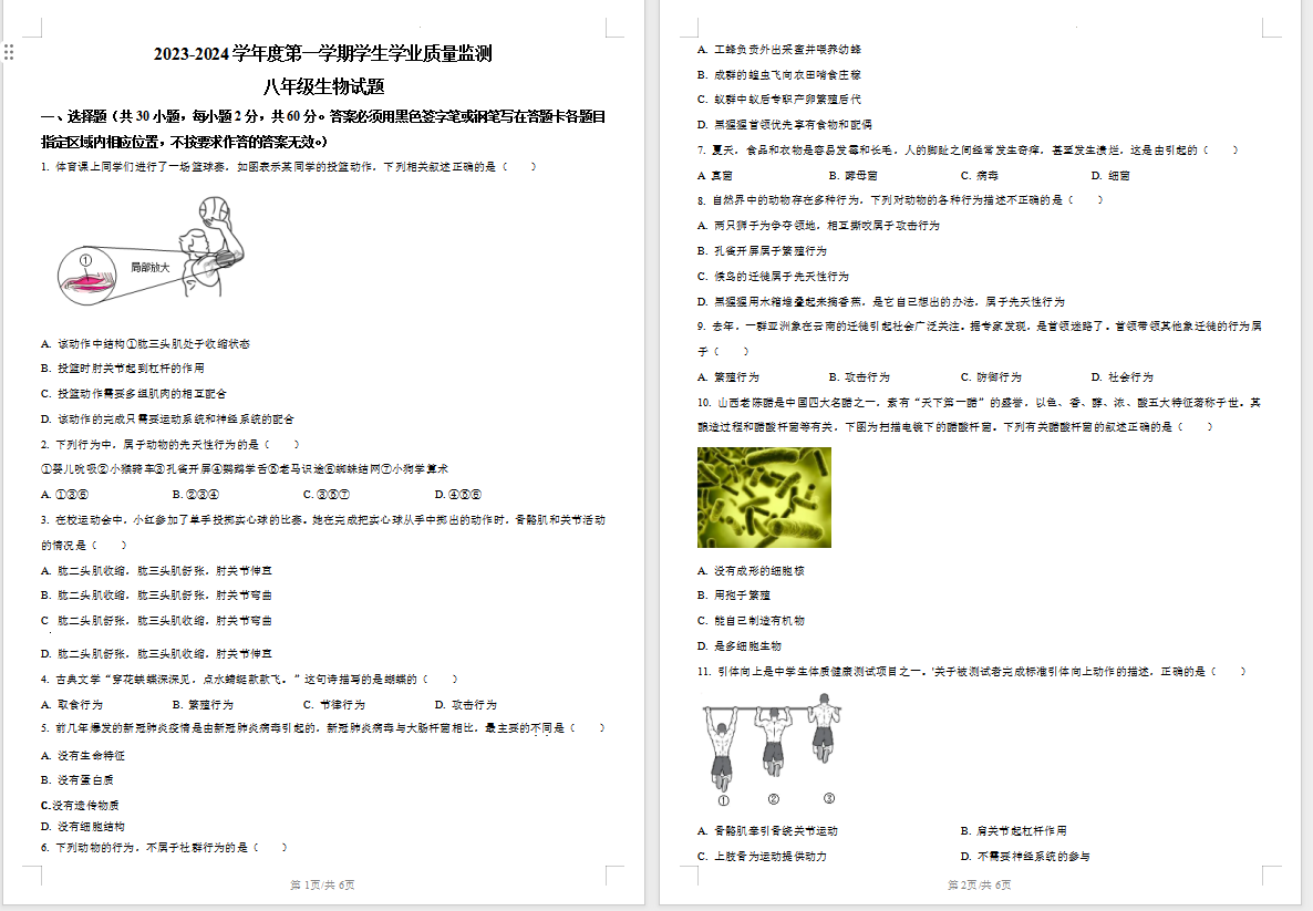 1707022351725.png