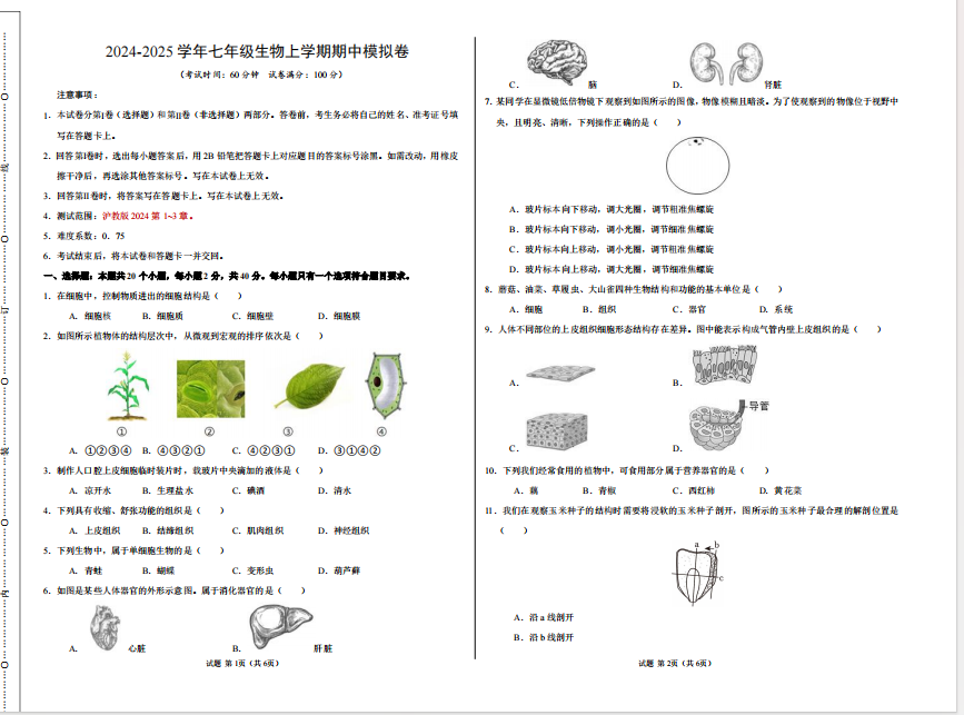 1731139004018.png